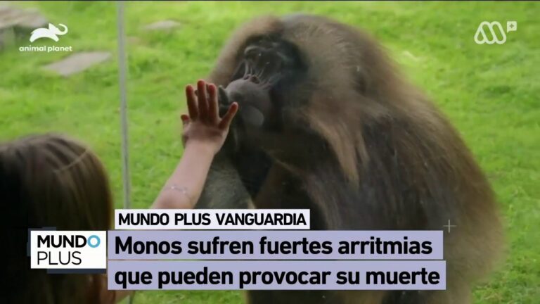 Avances Tecnol&oacute;gicos en la Salud Animal
