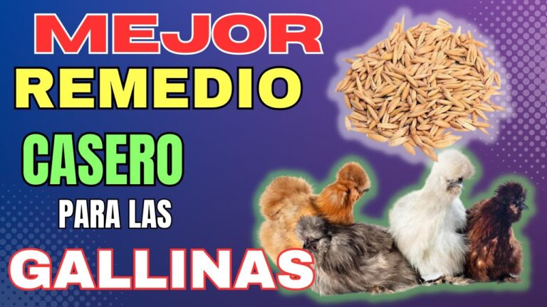 Beneficios de Incorporar Probi&oacute;ticos en la Dieta de tus Mascotas