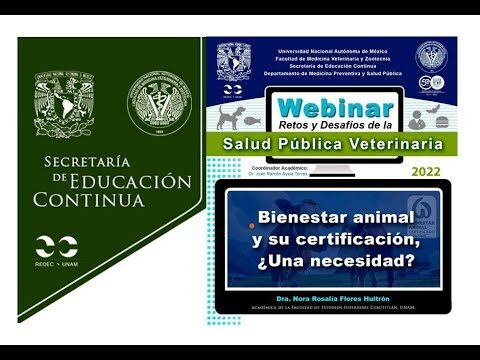 Bienestar Animal y &Eacute;tica en la Evaluaci&oacute;n Veterinaria