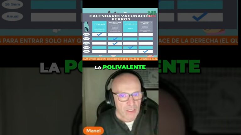 Protege la Salud de tu Mascota con la Vacuna contra la Parainfluenza