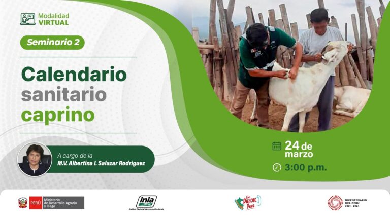 La importancia de la desparasitaci&oacute;n en animales terrestres