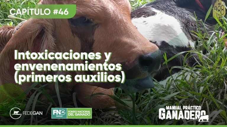 Tratamiento de Emergencia para el Envenenamiento Animal