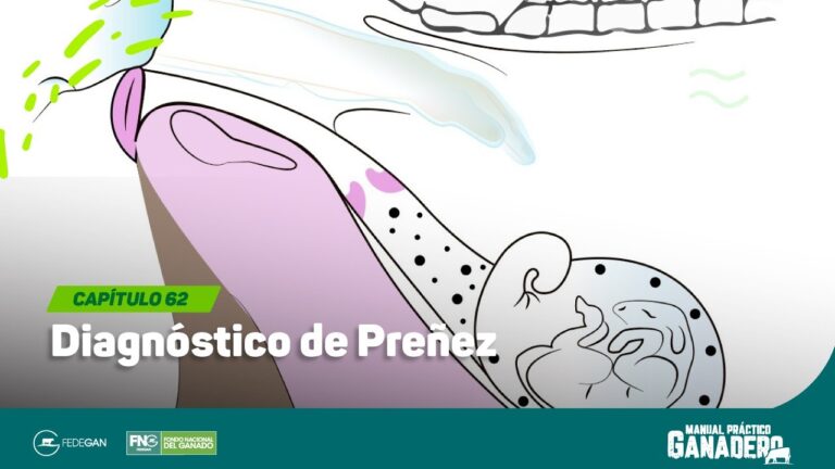 Diagn&oacute;stico Temprano en Veterinaria de Campo: Clave para la Salud Animal