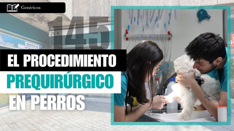 Gu&iacute;a de Especialistas en Cirug&iacute;a Veterinaria para Mascotas