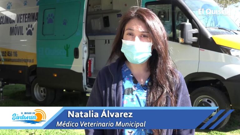 Revoluci&oacute;n en Cl&iacute;nicas Veterinarias: La Implantaci&oacute;n de Microchips
