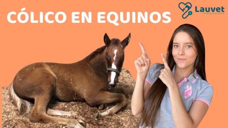C&oacute;mo Identificar Signos de Enfermedad en Potrillos