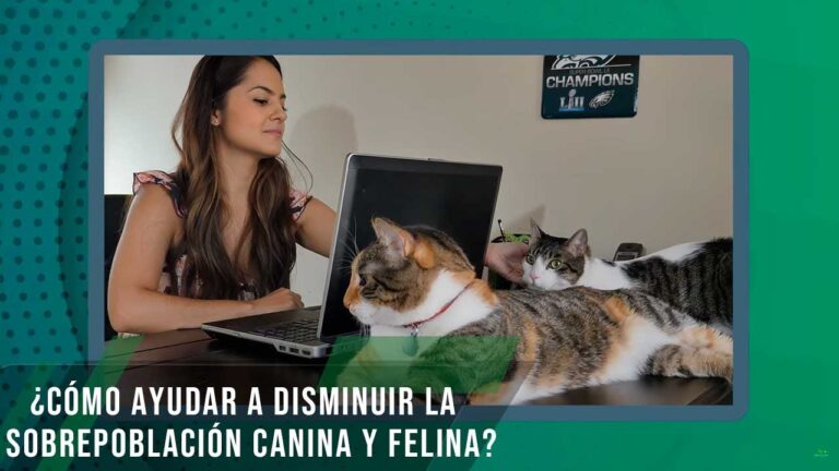 Estrategias Efectivas para la Prevenci&oacute;n de la Sobrepoblaci&oacute;n Animal