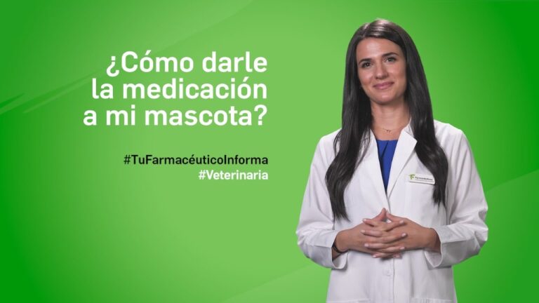 Gu&iacute;a para Elegir el Mejor Tratamiento Veterinario Ocular para tu Mascota