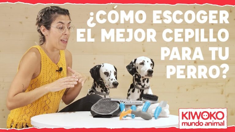 Cuidados Esenciales: Peines y Cepillos para la Salud de tu Mascota
