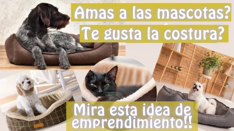 Las mejores camas confortables para mascotas