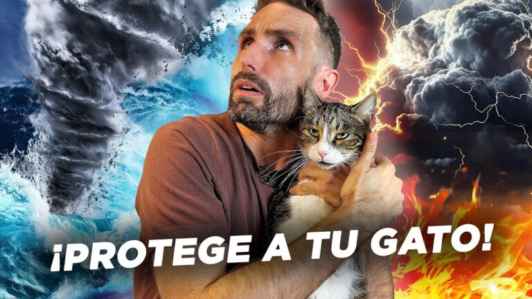 Cómo tranquilizar a tu mascota en emergencias veterinarias