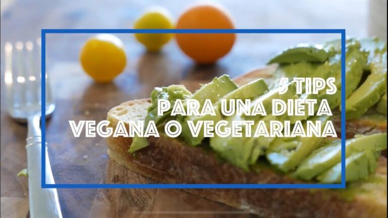 Beneficios de una Dieta Veterinaria Balanceada