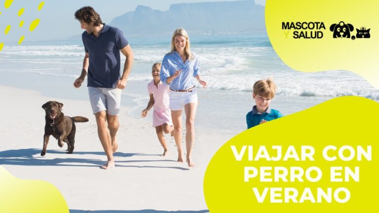 Cuidado de la Salud de tu Mascota: Accesorios Esenciales para Viajar