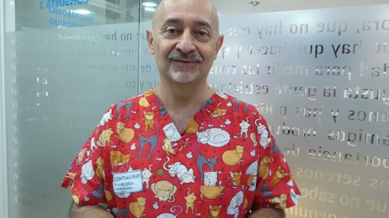 Desparasitaci&oacute;n: Amor y Salud para tus Mascotas