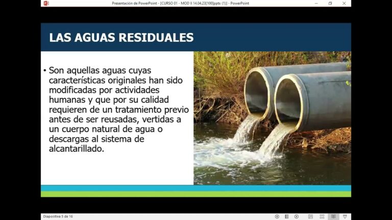 Importancia del Control de Calidad del Agua en la Salud de los Peces