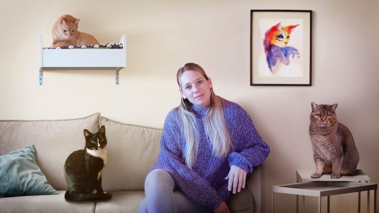 Educaci&oacute;n de Mascotas Felinas y Comportamiento: Claves para un Entendimiento Efectivo