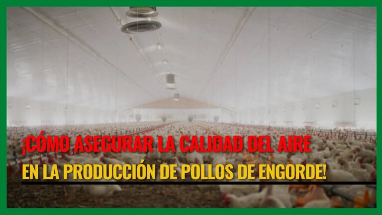 Alojamiento Ideal para Aves y su Bienestar Saludable