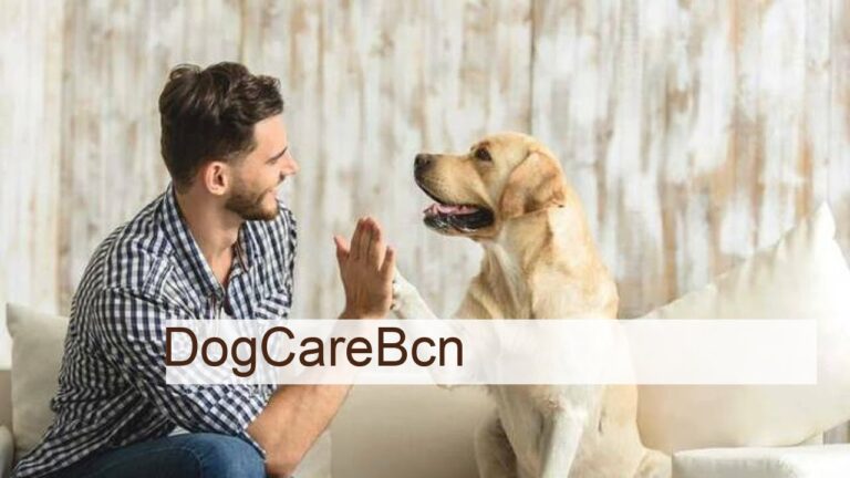 Consejos Esenciales para el Cuidado Emocional de tu Mascota