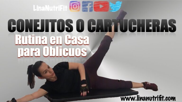 Rutinas de Ejercicio para Conejos en Casa