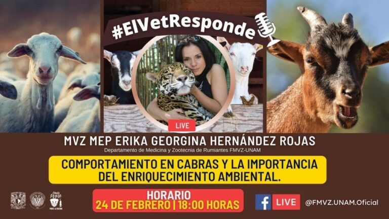 La influencia del enriquecimiento ambiental en el comportamiento animal