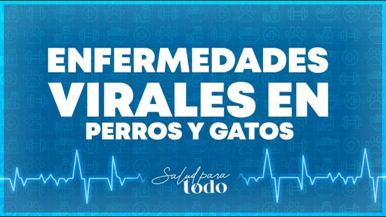 Vacunaci&oacute;n Antirr&aacute;bica: Esencial para la Salud de Tu Mascota
