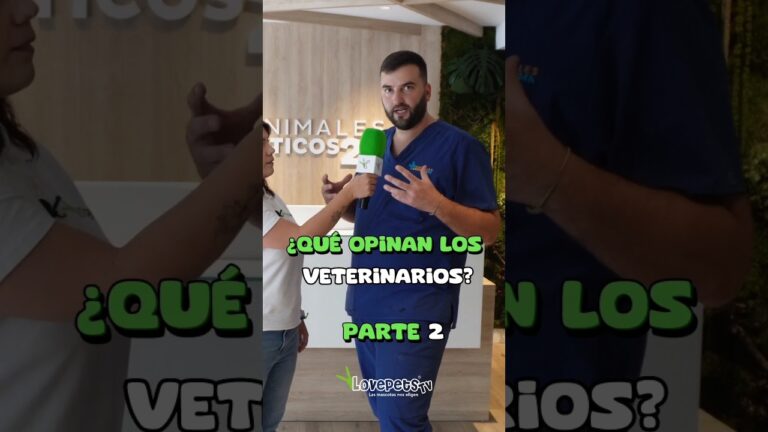 Seguro de Mascotas: Perspectivas de Expertos Veterinarios