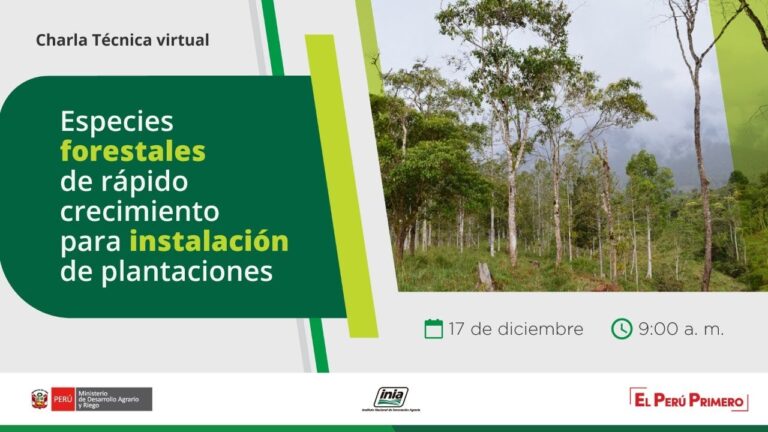 Derechos Legales de Animales en Recuperaci&oacute;n Silvestre