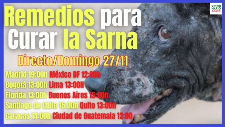 Cuidados Esenciales para Animales con Sarna