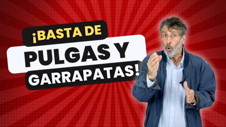 Consejos de Veterinarios para Prevenir Pulgas y Garrapatas