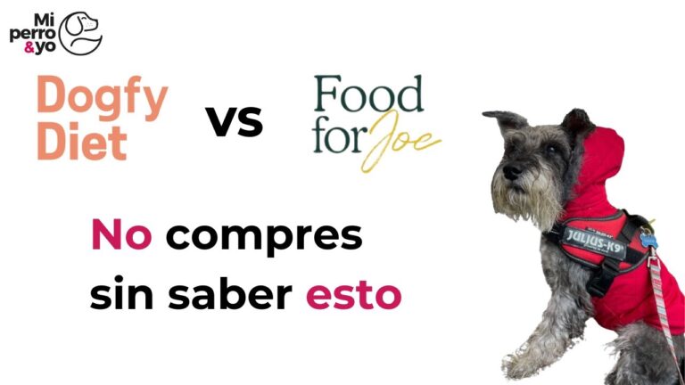 Mejorando la Calidad de Vida Animal: Beneficios de las Dietas Veterinarias