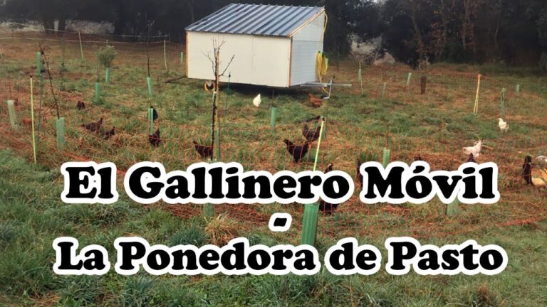 Corrales Port&aacute;tiles: Ideal para Mascotas en Movimiento