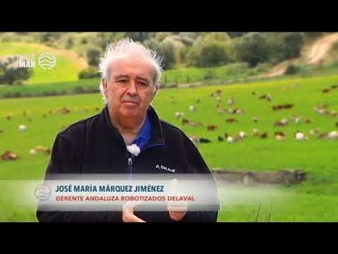 Estrategias Efectivas para Animales de Granja en Producci&oacute;n Lechera