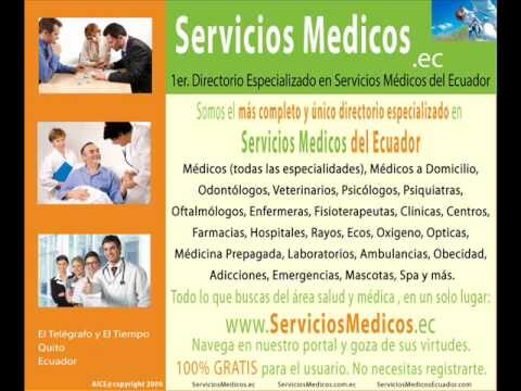 Conversaciones Veterinarias sobre Seguros para Mascotas