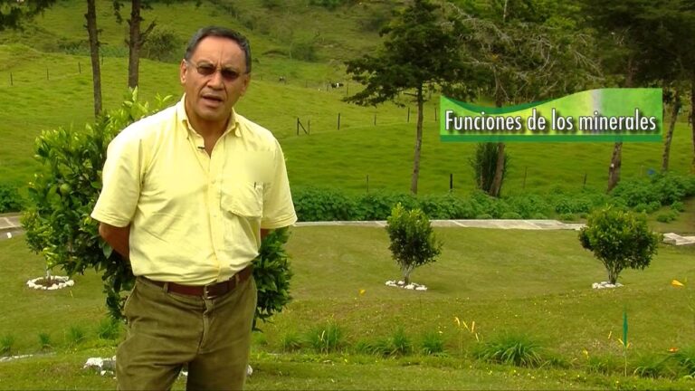 La Esencialidad del Calcio y F&oacute;sforo en la Nutrici&oacute;n Animal