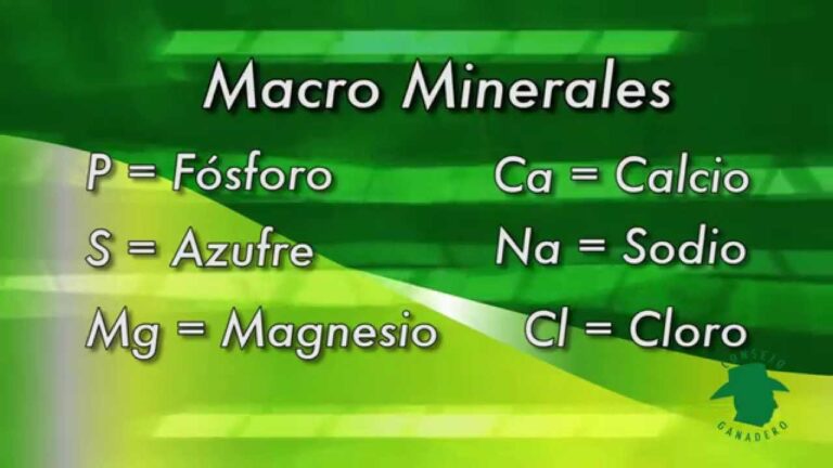 Suplementos de Calcio y F&oacute;sforo en la Alimentaci&oacute;n Veterinaria