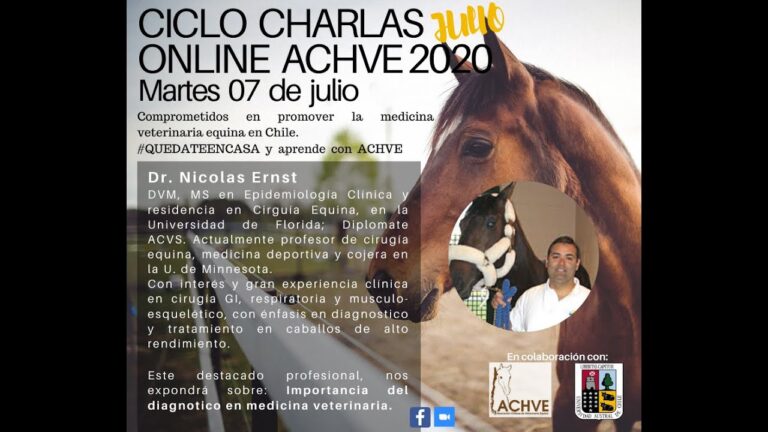 La Importancia de la Medicina Veterinaria en Caballos