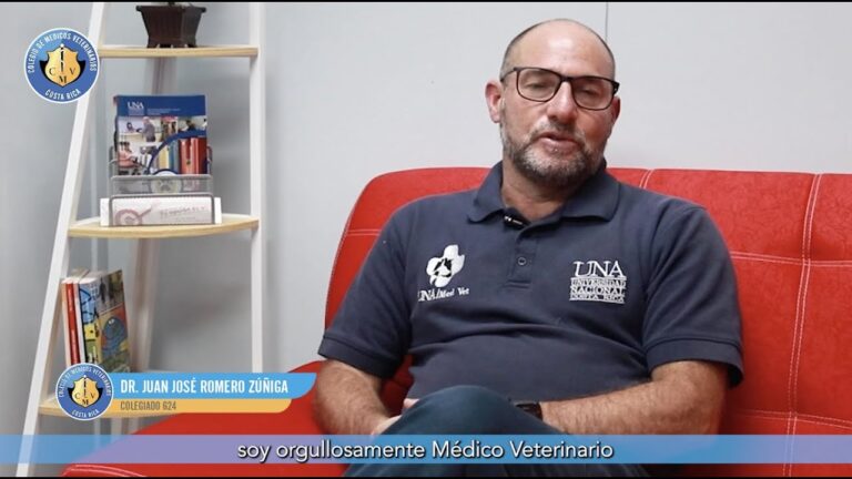 La Veterinaria: Clave para la Salud de las Mascotas