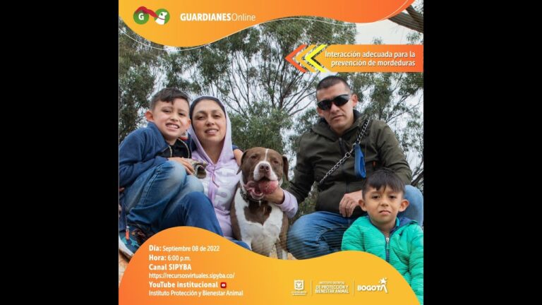 Promoci&oacute;n del Bienestar Animal en Medicina Preventiva