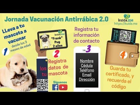 Vacunaci&oacute;n Antirr&aacute;bica: Salud y Protecci&oacute;n para tu Mascota