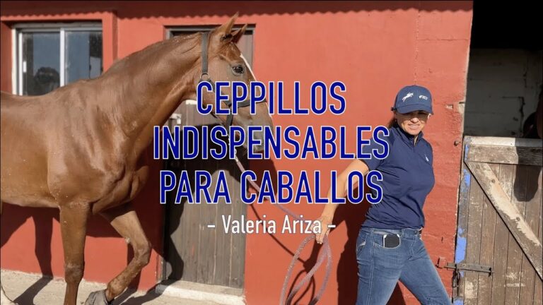 Consejos Esenciales para el Aseo de Caballos
