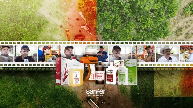 Prevenci&oacute;n de Par&aacute;sitos: Fundamentales para la Salud Animal