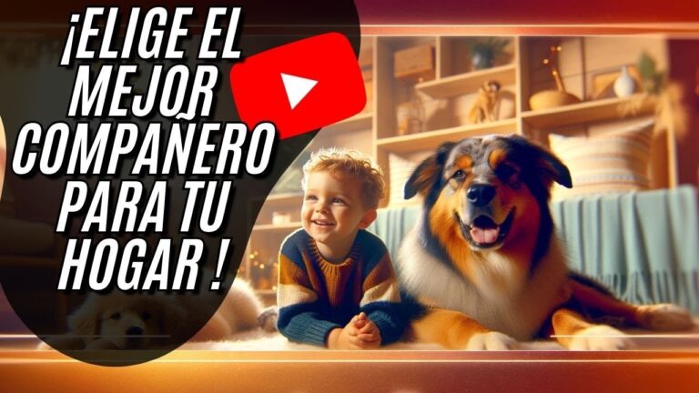 Consejos Esenciales para Asegurar la Compatibilidad con tu Nueva Mascota