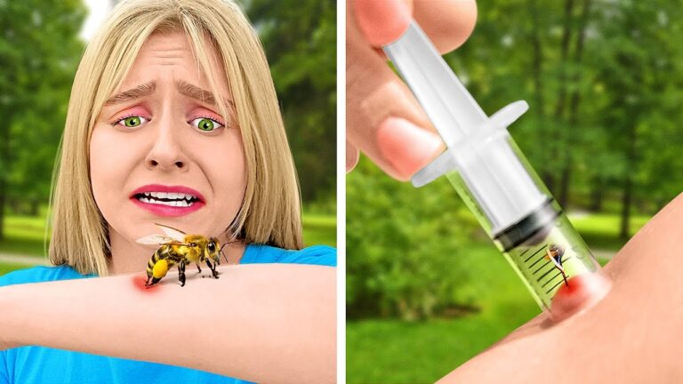 Consejos para Proteger a tus Mascotas de Picaduras de Insectos