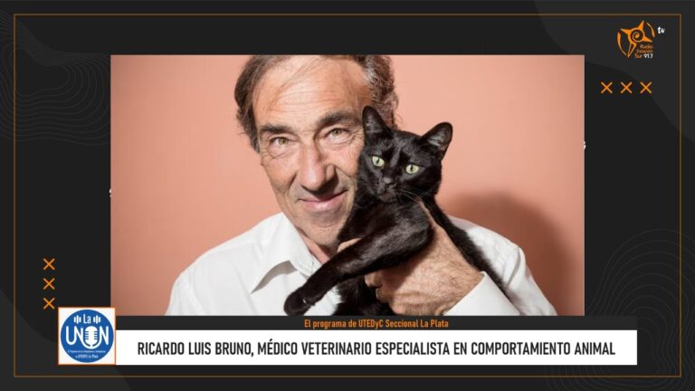 Veterinarios Especializados en Comportamiento Animal: Claves para el Bienestar