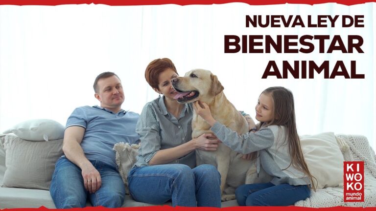 Gu&iacute;a de Normas para la Adopci&oacute;n Responsable de Animales
