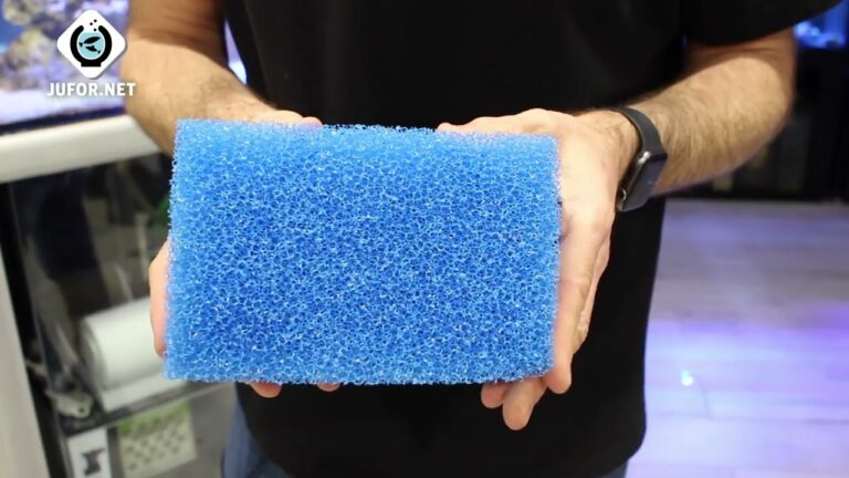 Mejorando el Bienestar de los Animales Marinos en Acuarios