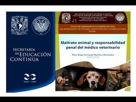 Responsabilidad Legal en el Maltrato Animal