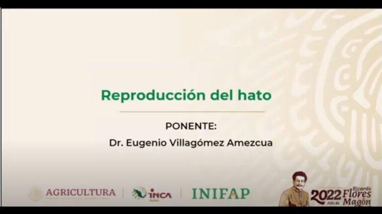 Optimizaci&oacute;n del Manejo Reproductivo en la Producci&oacute;n Animal