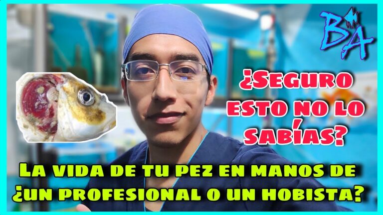 Gu&iacute;a del Veterinario Experto en Peces y Acuarios