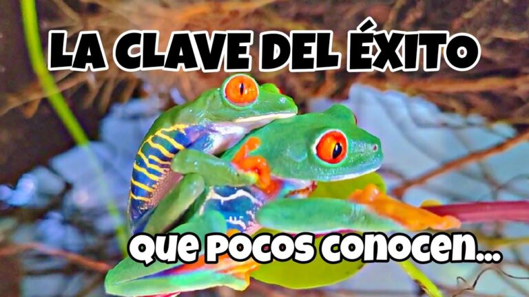 Reptiles Sorprendentes: Historia y Curiosidades